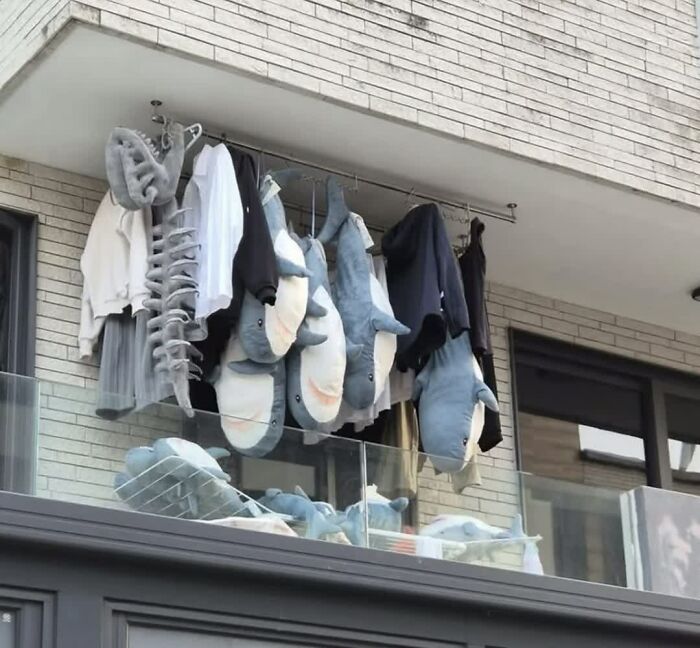 Confusing Pics That’ll Totally Make You Go Hmmm