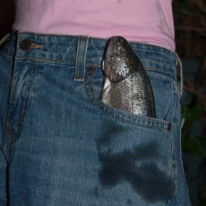 Confusing Pics That’ll Totally Make You Go Hmmm
