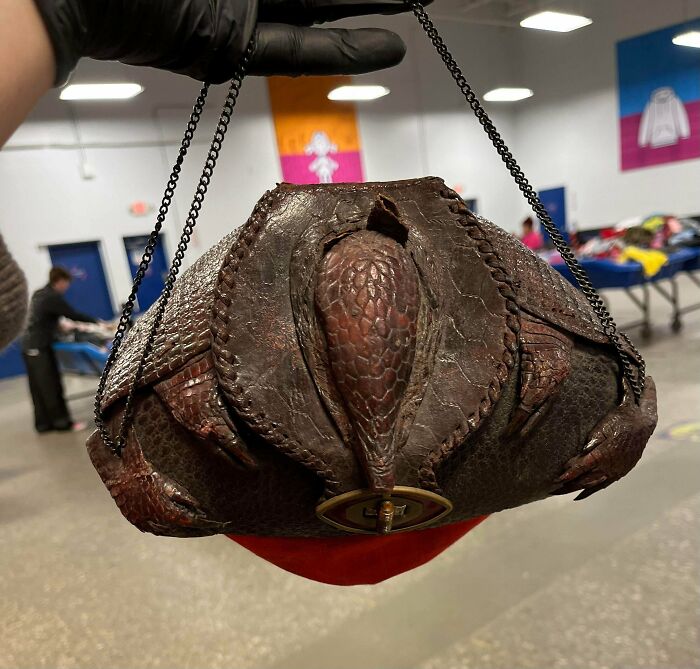 Wasn’t Sure What This Was at First… Now I Know It’s a Vintage Armadillo Purse!