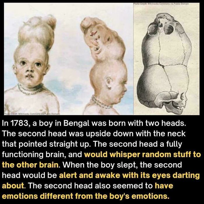 Yep, This Picture Is Definitely Just Plain Terrifying
