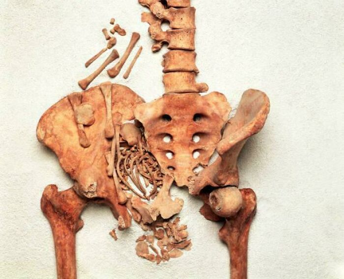 Wait, They Actually Shared These 81 Creepy Pics That Are Kinda Spooky!