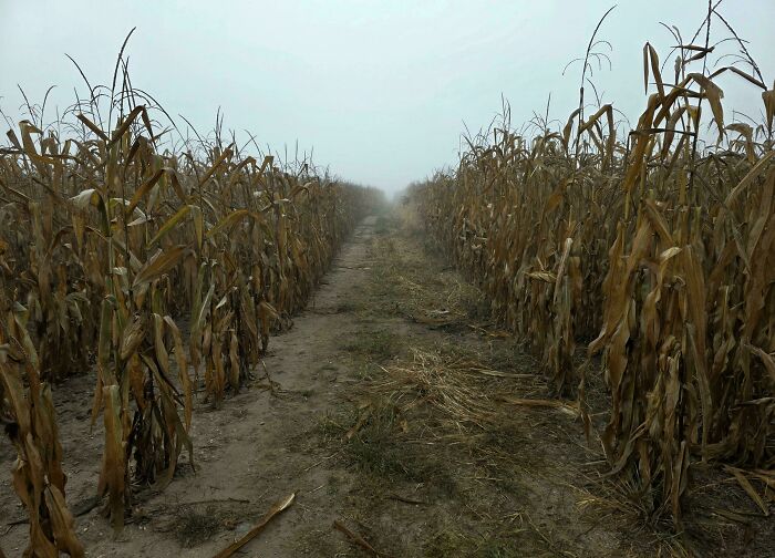 Wait, They Actually Shared These 81 Creepy Pics That Are Kinda Spooky!