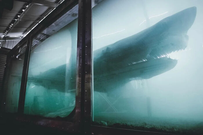 Wait, They Actually Shared These 81 Creepy Pics That Are Kinda Spooky!