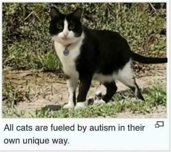 Let's Giggle at These Neurodivergent Memes That Totally Nail It