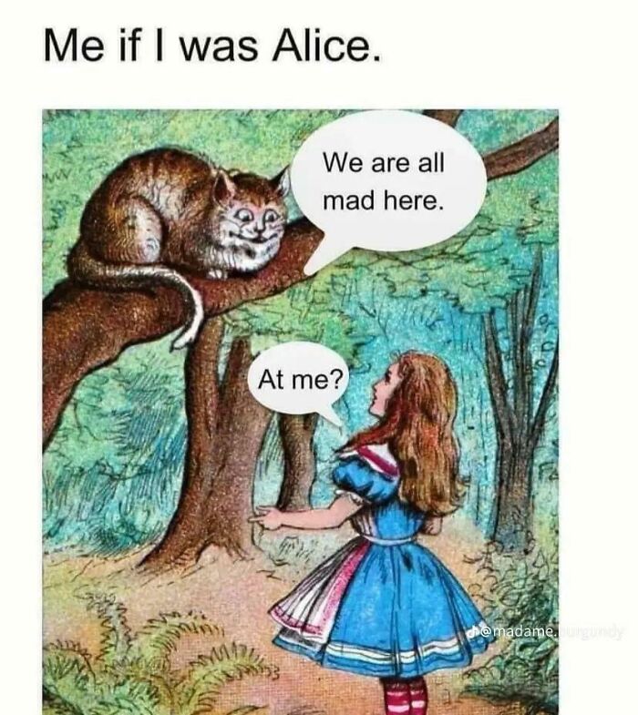 Let's Giggle at These Neurodivergent Memes That Totally Nail It