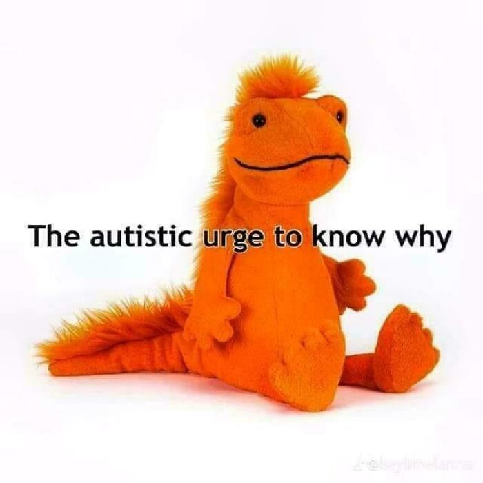 Let's Giggle at These Neurodivergent Memes That Totally Nail It