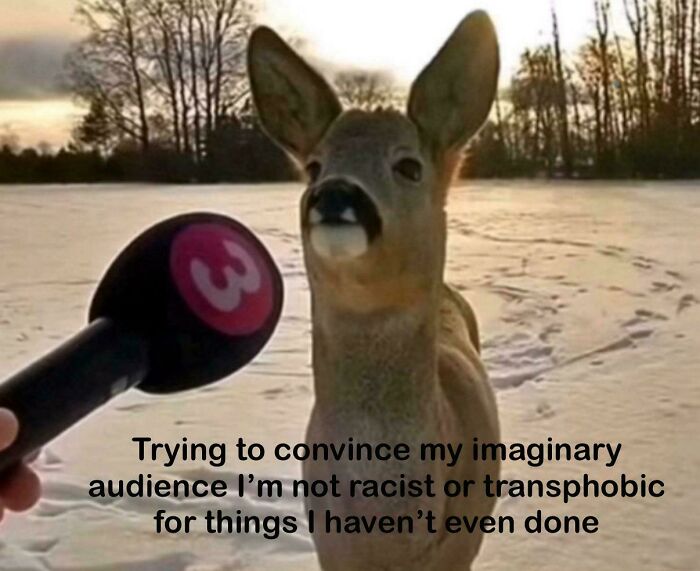 Let's Giggle at These Neurodivergent Memes That Totally Nail It
