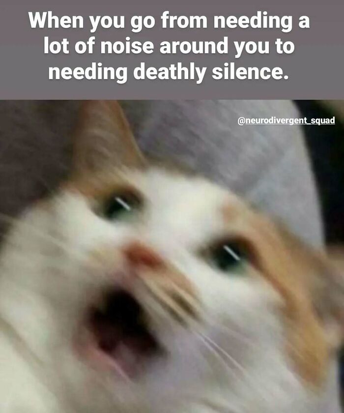 Let's Giggle at These Neurodivergent Memes That Totally Nail It