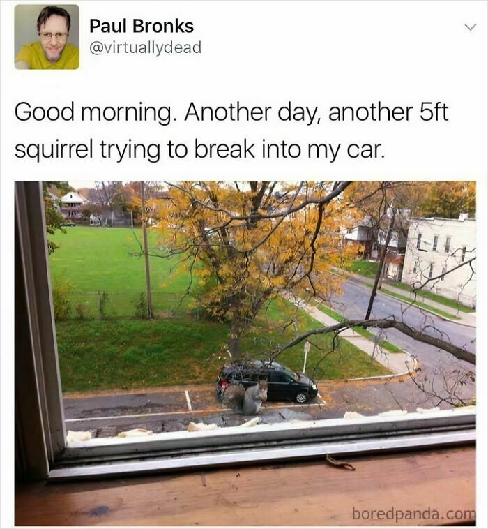 The Funniest Things British People Said At the Fancy Waitrose (39 Hilarious Gems)