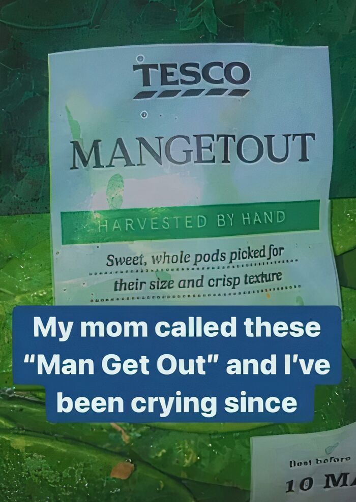 The Funniest Things British People Said At the Fancy Waitrose (39 Hilarious Gems)