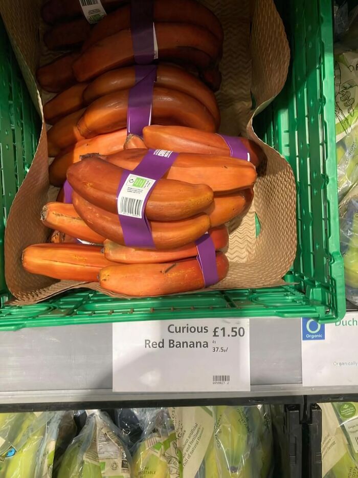 The Funniest Things British People Said At the Fancy Waitrose (39 Hilarious Gems)