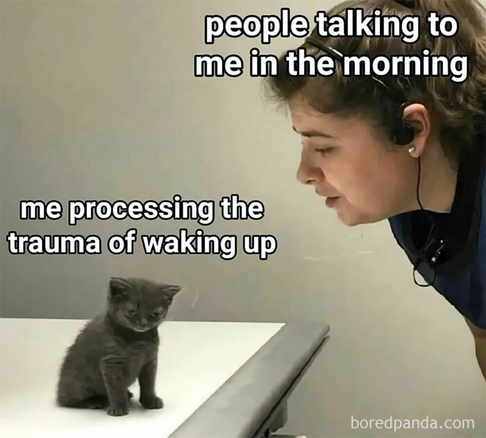 These 40-ish Memes Are Basically The Introvert's Survival Guide