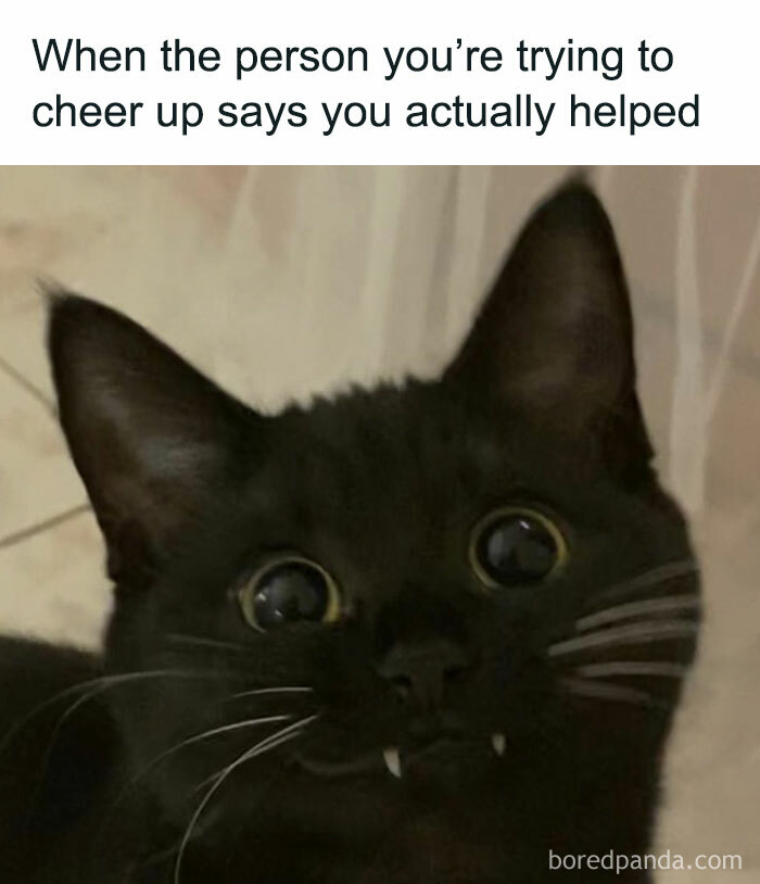 These 40-ish Memes Are Basically The Introvert's Survival Guide
