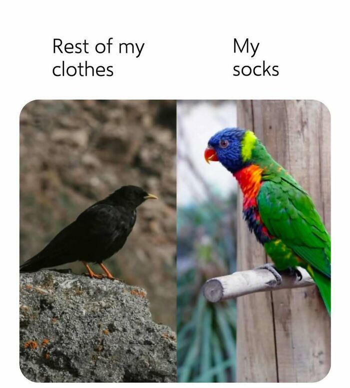 These 40-ish Memes Are Basically The Introvert's Survival Guide