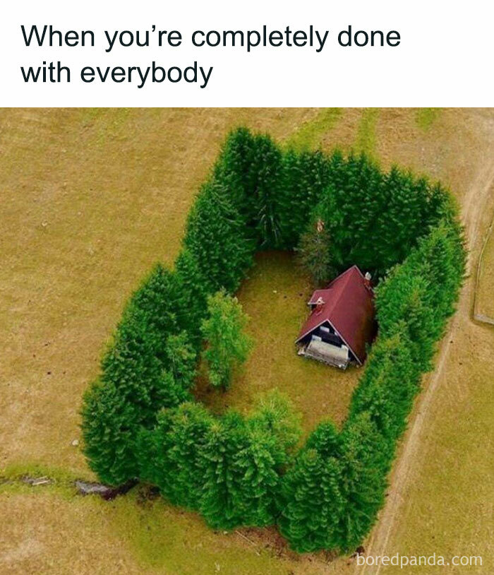 These 40-ish Memes Are Basically The Introvert's Survival Guide