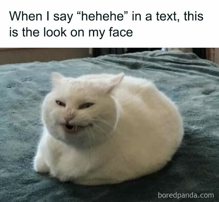 These 40-ish Memes Are Basically The Introvert's Survival Guide
