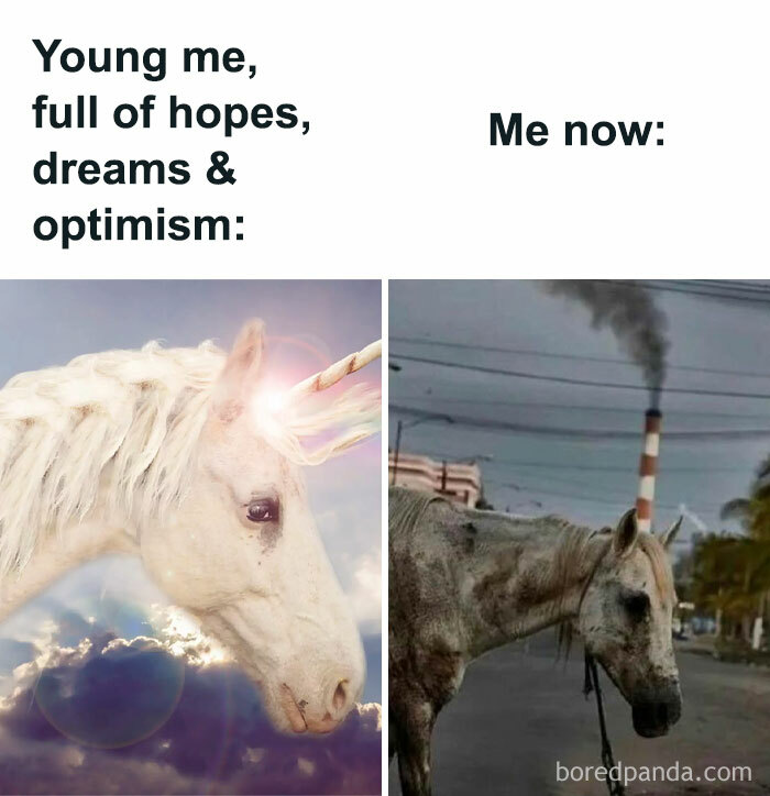 These 40-ish Memes Are Basically The Introvert's Survival Guide
