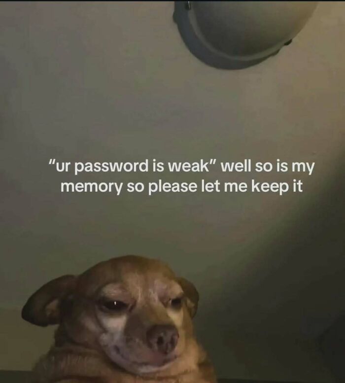 These 40-ish Memes Are Basically The Introvert's Survival Guide