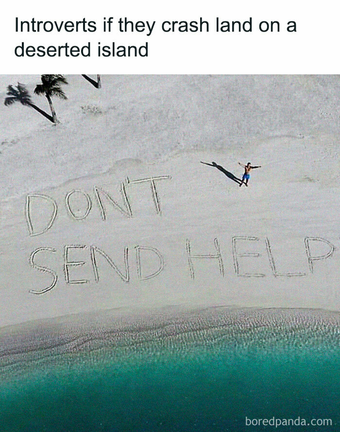 These 40-ish Memes Are Basically The Introvert's Survival Guide