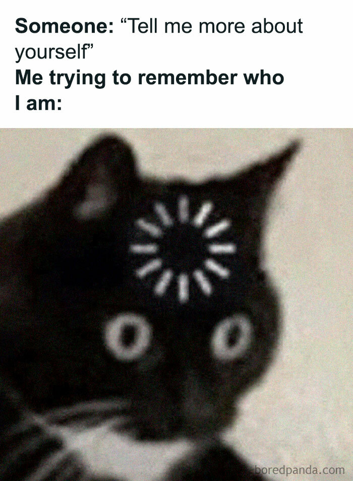 These 40-ish Memes Are Basically The Introvert's Survival Guide