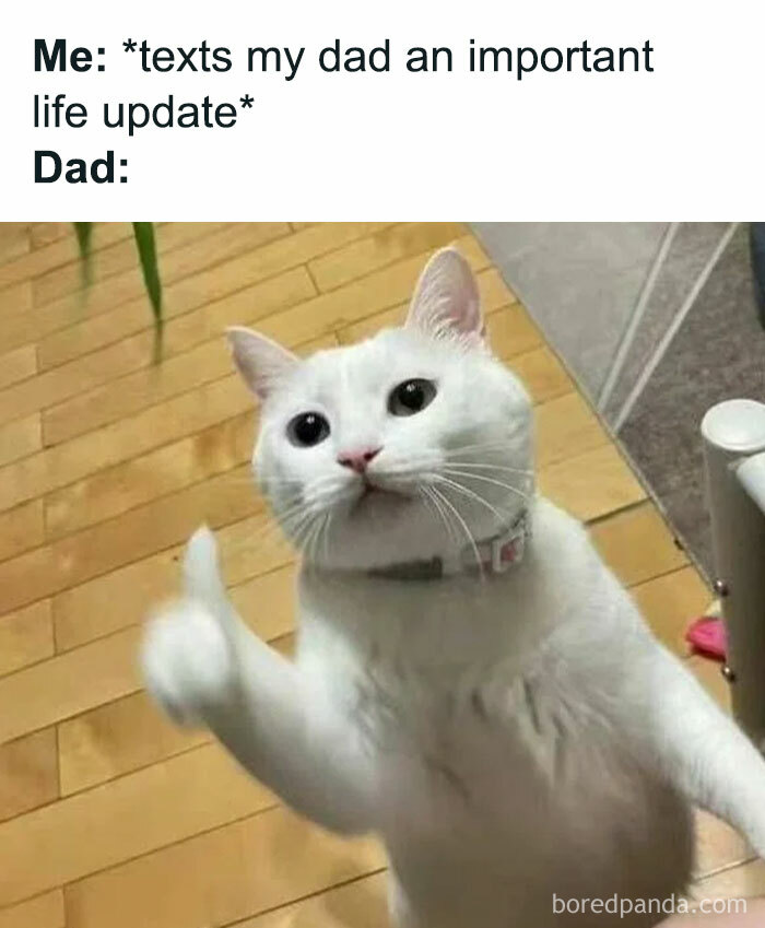 These 40-ish Memes Are Basically The Introvert's Survival Guide