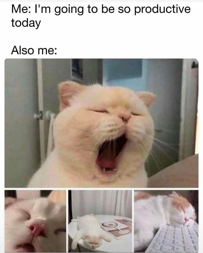 These 40-ish Memes Are Basically The Introvert's Survival Guide