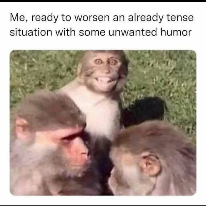 These 40-ish Memes Are Basically The Introvert's Survival Guide