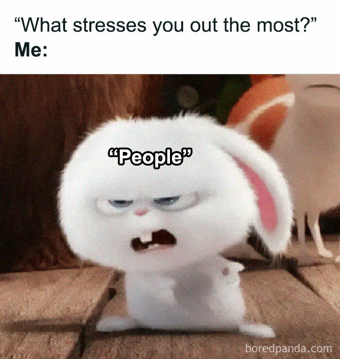 These 40-ish Memes Are Basically The Introvert's Survival Guide