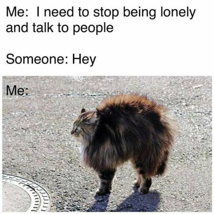 These 40-ish Memes Are Basically The Introvert's Survival Guide