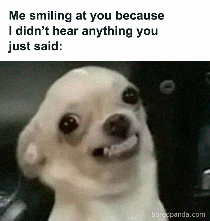 These 40-ish Memes Are Basically The Introvert's Survival Guide