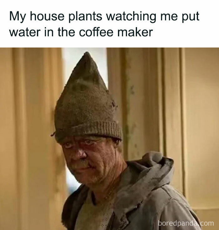 These 40-ish Memes Are Basically The Introvert's Survival Guide