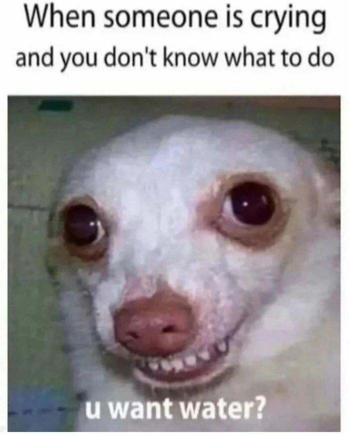 These 40-ish Memes Are Basically The Introvert's Survival Guide