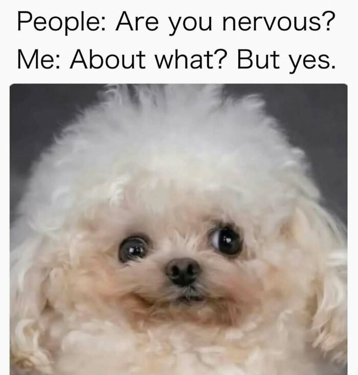 These 40-ish Memes Are Basically The Introvert's Survival Guide