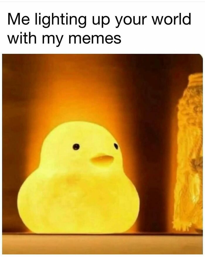 These 40-ish Memes Are Basically The Introvert's Survival Guide