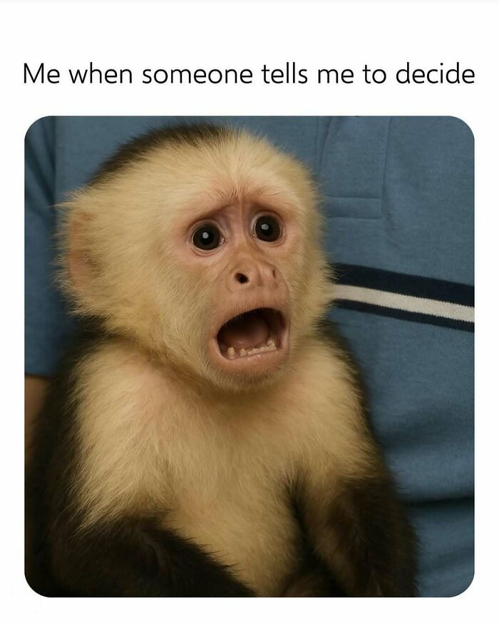These 40-ish Memes Are Basically The Introvert's Survival Guide