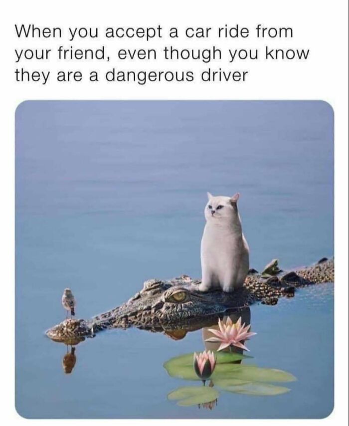 These 40-ish Memes Are Basically The Introvert's Survival Guide