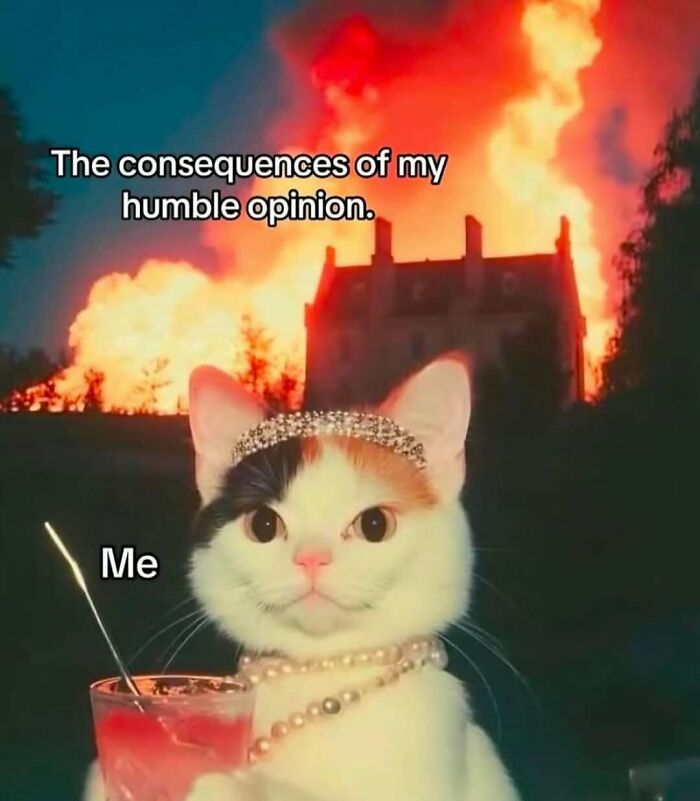 These 40-ish Memes Are Basically The Introvert's Survival Guide