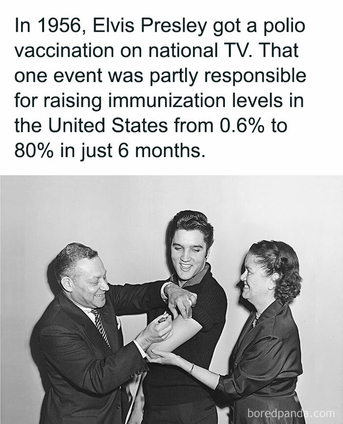 Wait, Did You See These Amazing History Moments?!