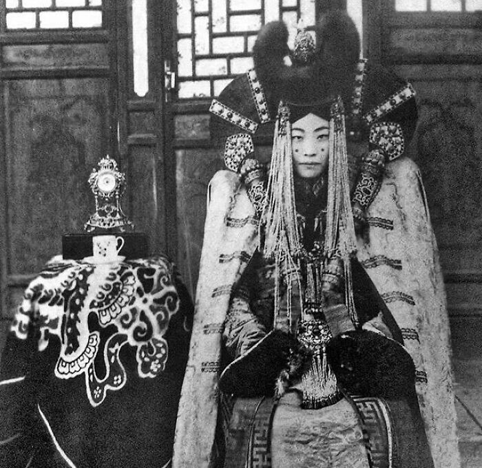 Wait, Did You See These Amazing History Moments?!
