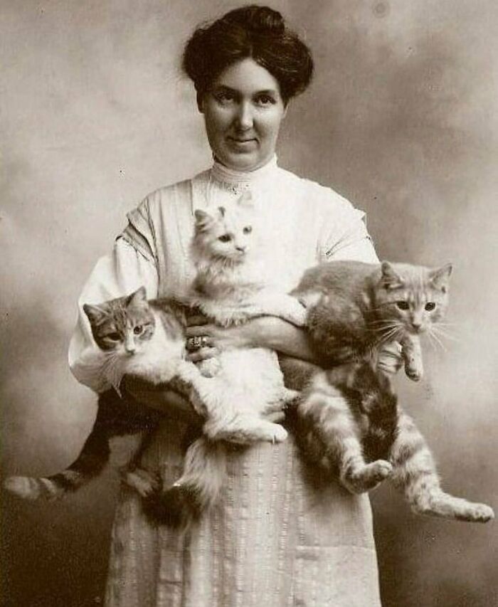Wait, Did You See These Amazing History Moments?!