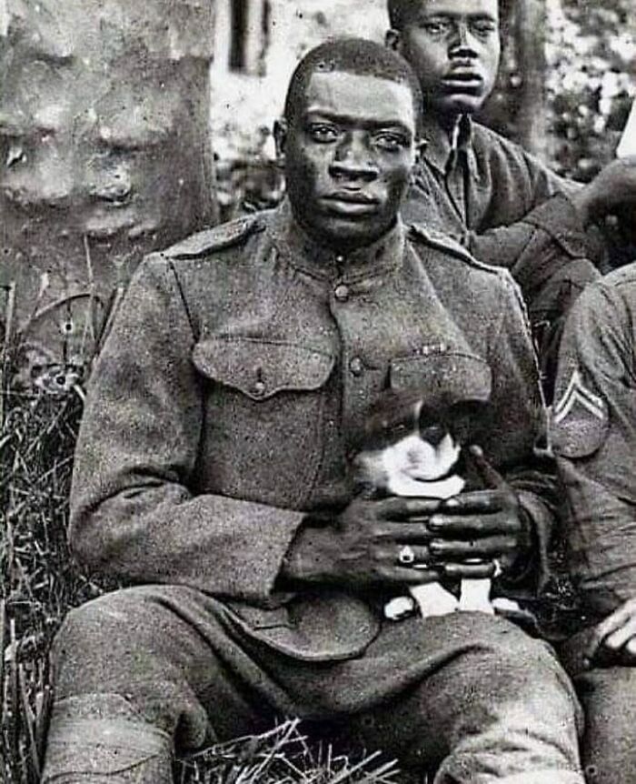 Wait, Did You See These Amazing History Moments?!