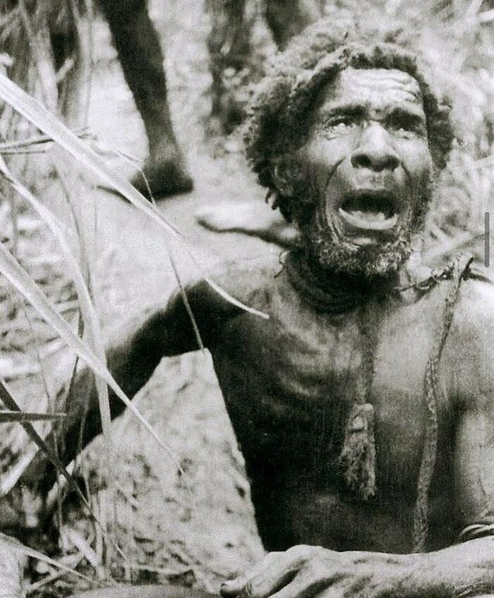 Wait, Did You See These Amazing History Moments?!