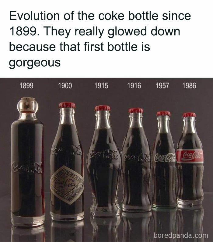Wait, Did You See These Amazing History Moments?!