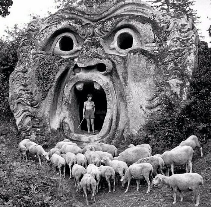 Wait, Did You See These Amazing History Moments?!
