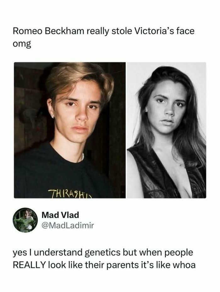 Wait, They Actually Ranked That?! 83 Pop Culture Posts That'll Totally Crack You Up