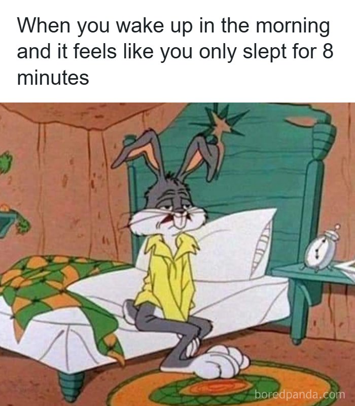 32 Hilarious USA Memes That Will Totally Crack You Up