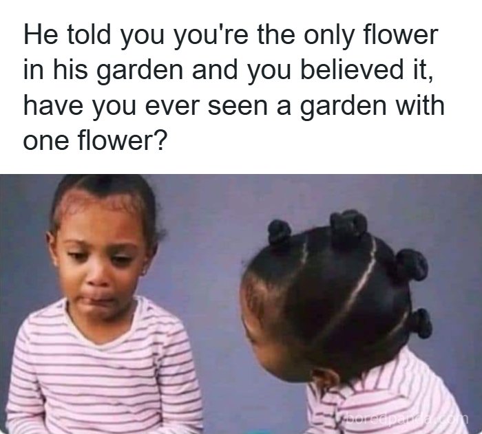 32 Hilarious USA Memes That Will Totally Crack You Up