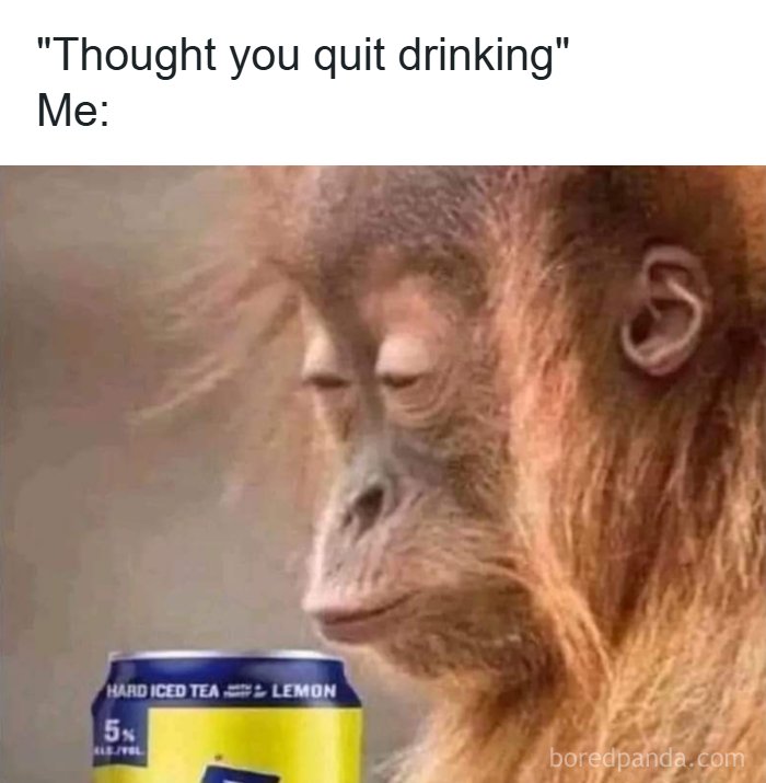 32 Hilarious USA Memes That Will Totally Crack You Up