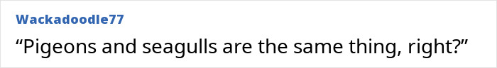 Wait, People Actually Said This At Work?! The 60 Most Jaw-Droppingly Dumb Things Coworkers Ever Blurted Out