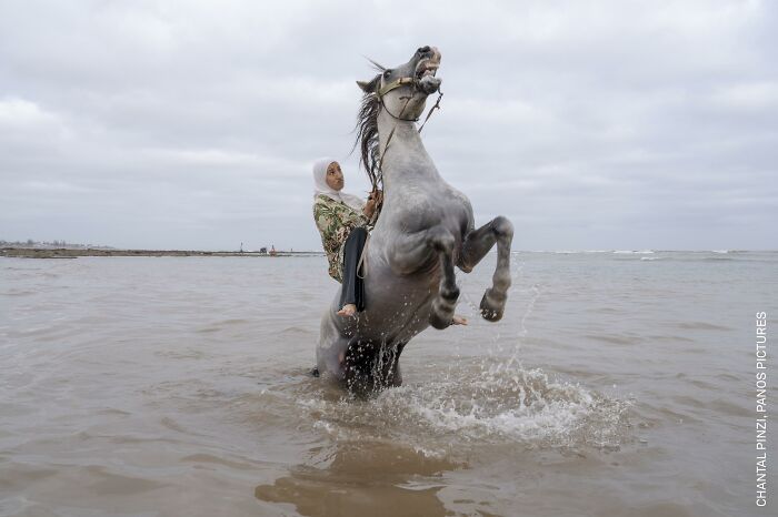 Morocco’s Badass Horsewomen Take the Lead